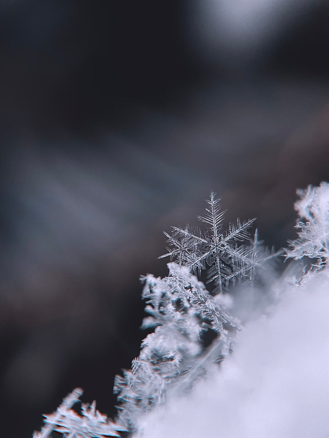 Frostbite